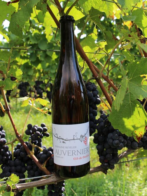 Auvernier | Œil-de-Perdrix