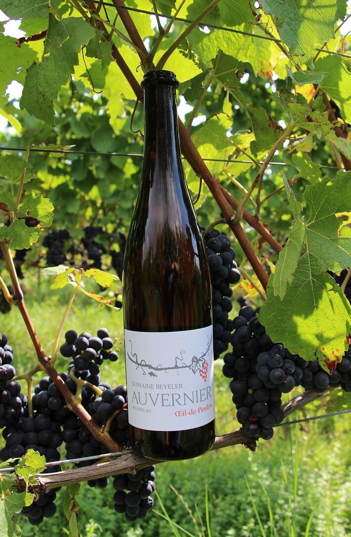 Auvernier | Œil-de-Perdrix